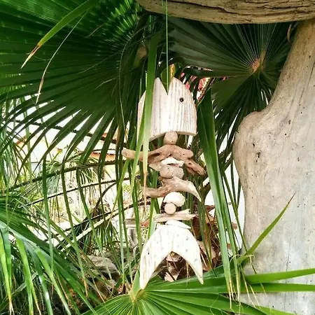 Casa vacanze 7lemonshouse Lajares