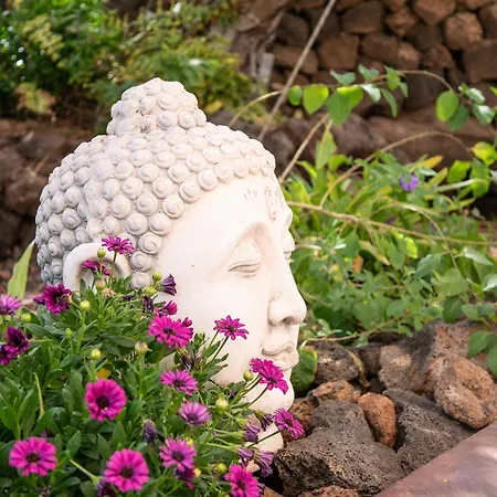 Ferienhaus 7lemonshouse Lajares