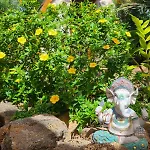 度假居 7lemonshouse 拉哈雷斯