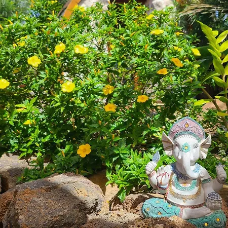 بيت للعطل 7lemonshouse لاجاريس