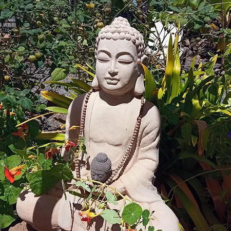 Nyaraló 7lemonshouse