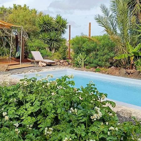 7lemonshouse لاجاريس